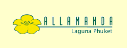 phuket allamanda