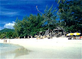 Samui Resotel (Munchies Resort)